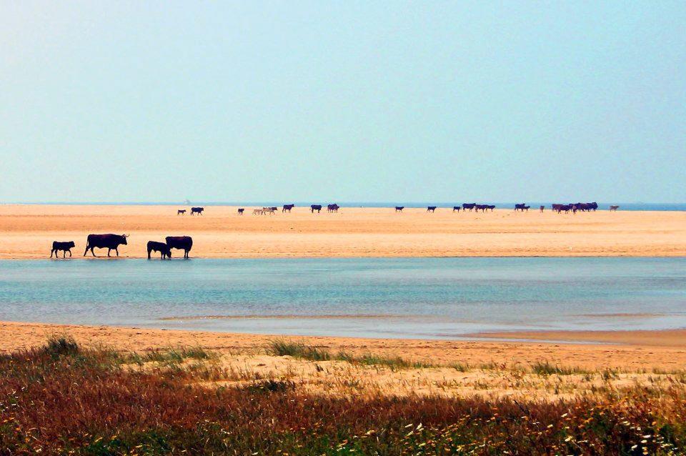 Ferreira Hostal Boutique Conil de la Frontera Kültér fotó